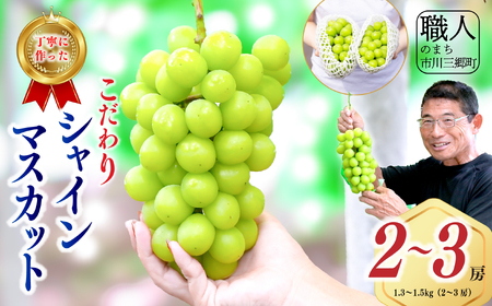 シャインマスカット 【2026年発送】 山梨 1.3～1.5kg (2～3房) ぶどう 葡萄 山梨県 フルーツ 果物 くだもの ギフト 産地直送 人気 ないとうぶどうファーム [5839-1926]