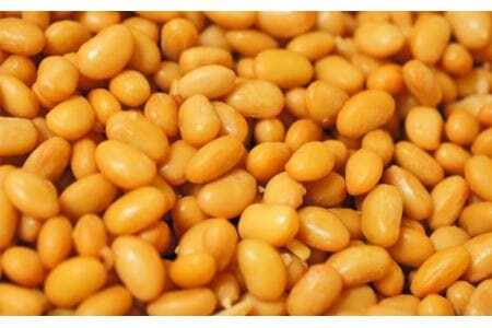 早川町の手作り田舎味噌　「白鳳味噌」800ｇ×4個