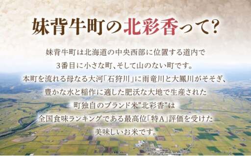 2026年12月発送 令和8年産 ななつぼし 白米 5kg (真空パック) 【プレミアム北彩香】