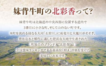 2026年5月発送 令和7年産 食べ比べ ( ゆめぴりか vs ななつぼし ) 白米 10kg (各5kg) 【北彩香】