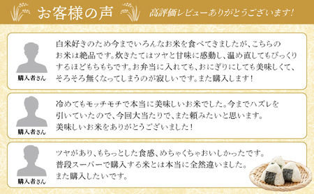 2026年1月発送 令和7年産 ゆめぴりか 白米 10kg 【北彩香】| 妹背牛産 北海道 米 道産 特A