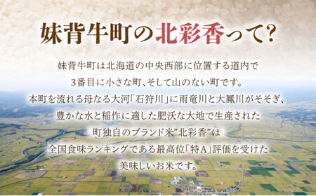 2026年3月発送 令和7年産 ななつぼし 白米 20kg (真空パック) 一括発送 【プレミアム北彩香】| 妹背牛産 北海道 米 道産 特A