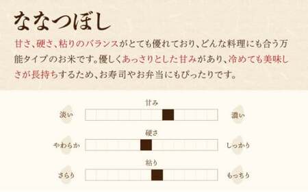 2026年3月発送 令和7年産 ななつぼし 白米 20kg (真空パック) 一括発送 【プレミアム北彩香】| 妹背牛産 北海道 米 道産 特A
