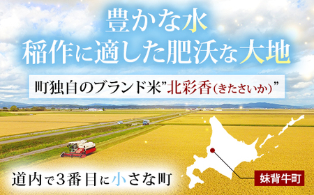 2025年10月発送 令和7年産 ななつぼし 白米 5kg (真空パック) 【プレミアム北彩香】| 妹背牛産 北海道 米 道産 特A