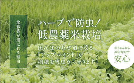 2025年10月発送 令和7年産 食べ比べ ( ゆめぴりか vs ななつぼし ) 白米 10kg (各5kg) 【北彩香】| 妹背牛産 北海道 米 道産 特A