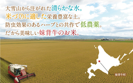 2025年10月発送 令和7年産 食べ比べ ( ゆめぴりか vs ななつぼし ) 白米 20kg (各10kg) 一括発送 【北彩香】| 妹背牛産 北海道 米 道産 特A