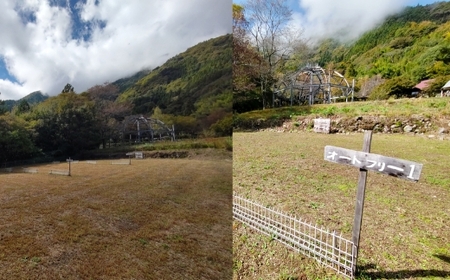 宿泊プラン フリーサイト 薪付 1泊2日 山梨県 キャンプ キャンプ場 利用券 宿泊券 アウトドア 身延町