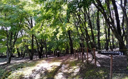 宿泊プラン 林間サイト 薪付  1泊2日 山梨県 キャンプ キャンプ場 利用券 宿泊券 アウトドア 身延町