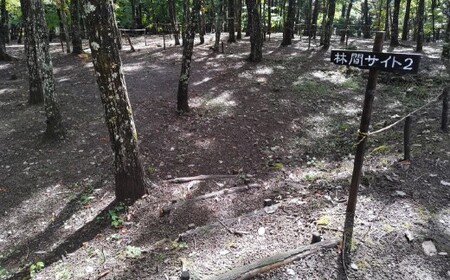 宿泊プラン 林間サイト 薪付  1泊2日 山梨県 キャンプ キャンプ場 利用券 宿泊券 アウトドア 身延町