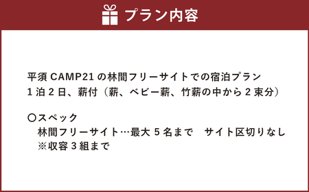宿泊プラン 林間フリーサイト 薪付  1泊2日 山梨県 キャンプ キャンプ場 利用券 宿泊券 アウトドア 身延町