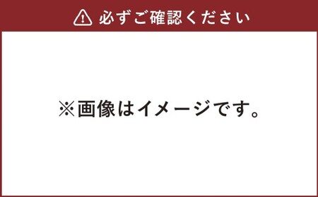 天然鉱泉水「信玄」ナチュラルミネラルウォーター１L×15本入 飲料類 