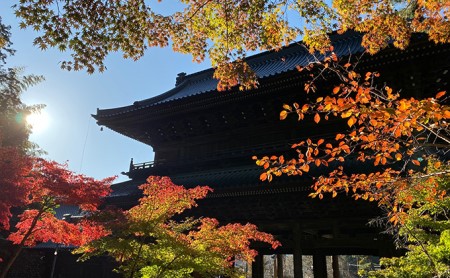 宿泊券 田中屋旅館 1泊2食付き ペア 宿泊 有限会社田中屋旅館