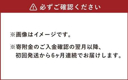 【6ヶ月定期便】天然鉱泉水「信玄」ナチュラルミネラルウォーター 500ml×24本入 飲料類 