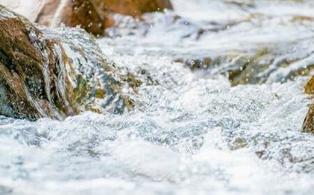 【6ヶ月定期便】天然鉱泉水「信玄」ナチュラルミネラルウォーター 500ml×24本入 飲料類 