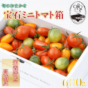 【カピオトマト】旬のおまかせ宝石ミニトマト箱 600g(旧マルファーム)【1460248】