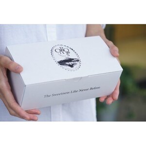 カピオトマトセレクト Mサイズ(おまかせ2～3品種の詰め合わせ550g)【1460248】