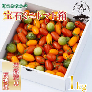 【カピオトマト】旬のおまかせ宝石ミニトマト箱 1kg(旧マルファーム)【1460268】