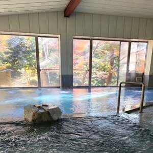 山梨県南部町秘湯「奥山温泉」日帰り入浴券(1名様分)【1枚】【1619536】