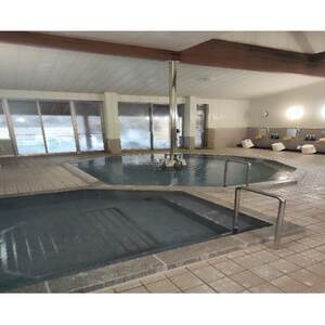 山梨県南部町秘湯「奥山温泉」宿泊券(1泊2食付き)1名様　6畳【1619595】