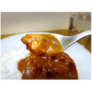 「肉屋の作ったまかないカレー」200g×6人前　山梨ブランド肉「甲州牛」「富士桜ポーク」【1316463】