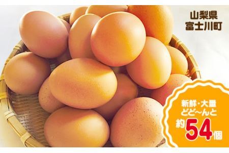 初たまご プレミアムひまわりたまご54個程度※破卵補償  卵 たまご 鶏卵 玉子 大容量 たまごかけご飯 たまごかけごはん 最短 濃厚