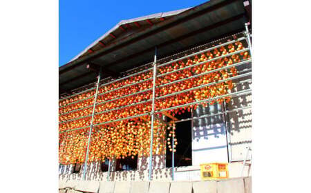 【山梨県産】ころ柿(Sサイズ箱入)12個~18個入 枯露柿 干し柿 ほし柿 ドライフルーツ 山梨 やまなし 甲州 富士川町 9000円 9,000円 九千円【A2402】