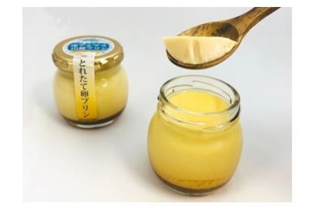 南アルプス山麓プリン（とれたて卵のプリン）８本セット　ぷりん プリン たまご 卵 鶏卵 お菓子 おやつ スイーツ 