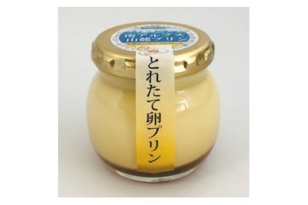 南アルプス山麓プリン（とれたて卵のプリン）８本セット　ぷりん プリン たまご 卵 鶏卵 お菓子 おやつ スイーツ 