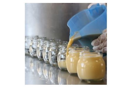 南アルプス山麓プリン（とれたて卵のプリン）８本セット　ぷりん プリン たまご 卵 鶏卵 お菓子 おやつ スイーツ 