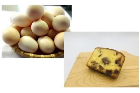 ひまわりたまご紅白10個・パウンドケーキ（あんぽ柿）1本セット　卵 鶏卵 たまご あんぽ柿 スイーツ デザート お菓子 洋菓子 山梨 富士川町
