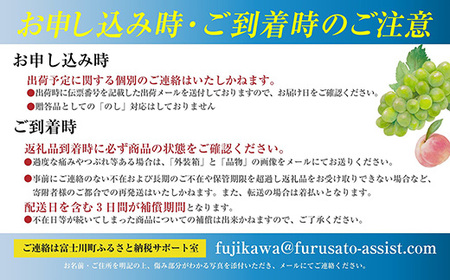 【2026年発送分 先行予約】 シャインマスカット 1.2kg（2～3房） 8月中旬以降発送予定 フルーツ 山梨県産 果物 シャイン マスカット ぶどう ブドウ 大粒 種なし 産地直送  富士川町 先行予約（A5302）