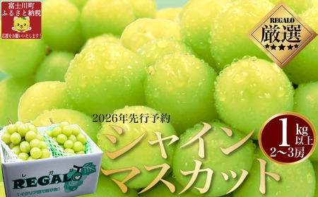 【2026年発送分 先行予約】頬張る幸福感 ~緑の宝石・ シャインマスカット ~ 1kg以上(2~3房) フルーツ 山梨県産 果物 くだもの シャイン マスカット ぶどう ブドウ 葡萄 大粒 種なし 先行予約 富士川町 10000円 一万円 9000円 九千円