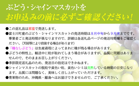 【2026年発送分 先行予約】頬張る幸福感 ~緑の宝石・ シャインマスカット ~ 1kg以上(2~3房) フルーツ 山梨県産 果物 くだもの シャイン マスカット ぶどう ブドウ 葡萄 大粒 種なし 先行予約 富士川町 10000円 一万円 9000円 九千円
