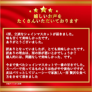 【2026年発送分 先行予約】\高評価多数/【訳あり】シャインマスカット 1.8kg~2kg (3~6房) 【8月下旬以降発送予定】 訳アリ 訳あり品 シャイン マスカット ぶどう ブドウ 葡萄 徳用 家庭用 ご家庭用 旬 新鮮 約2kg 約1.8kg 約1.9kg くだもの 果物 フルーツ 山梨 やまなし 富士川町