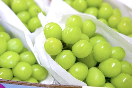 【2026年発送分 先行予約】激レア【糖度20度以上】極上シャインマスカット ４kg以上  フルーツ 山梨県産 果物 シャイン マスカット ぶどう ブドウ 大粒 種なし