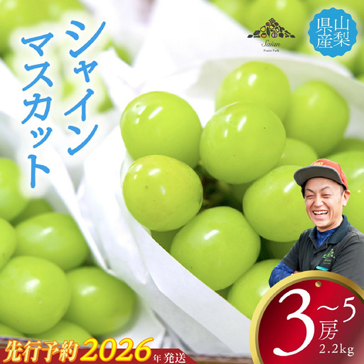 【2026年発送分 先行予約】 シャインマスカット 2.2kg以上（3～5房） 8月中旬以降発送予定 フルーツ 山梨県産 果物 シャイン マスカット ぶどう ブドウ 大粒 種なし 産地直送  富士川町 先行予約（A5307）