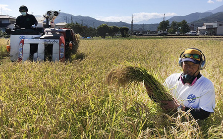 【令和７年度産先行予約】ヒノヒカリ 10kg ※11月以降順次発送予定　精米済み 新米 ひのひかりお米 精米 １０キロ 米 ライス こめ おこめ １０kg