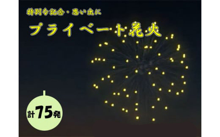 【特別な記念・思い出に】プライベート花火（７５発） 花火 はなび 記念 思い出 プライベート アニバーサリー 誕生日 記念日 結婚 プロポーズ