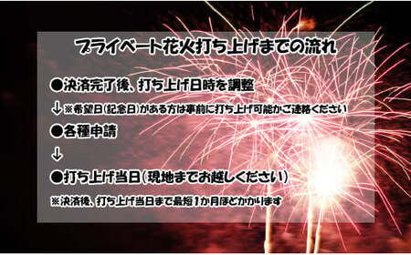 【特別な記念・思い出に】プライベート花火（７５発） 花火 はなび 記念 思い出 プライベート アニバーサリー 誕生日 記念日 結婚 プロポーズ