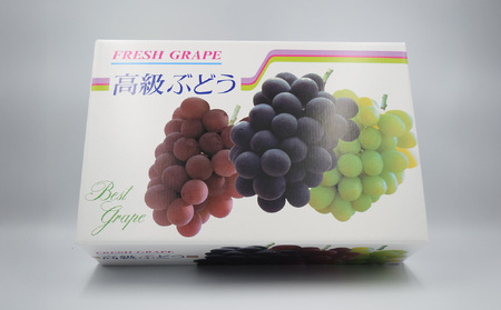 【2025発送分】【フルーツ王国山梨】３色ぶどう食べ比べセット（巨峰・シャインマスカット・スカーレット 各１房・約2.15kg）　ぶどう 葡萄 ブドウ マスカット シャイン 赤ぶどう 黒ぶどう くだもの フルーツ 果物 食べ比べ お試し 山梨 やまなし 富士川町