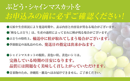 【2025発送分】【フルーツ王国山梨】３色ぶどう食べ比べセット（巨峰・シャインマスカット・スカーレット 各１房・約2.15kg）　ぶどう 葡萄 ブドウ マスカット シャイン 赤ぶどう 黒ぶどう くだもの フルーツ 果物 食べ比べ お試し 山梨 やまなし 富士川町