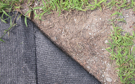 【防草シート】クサトラーズ（１ｍ×１０ｍ）グリーン