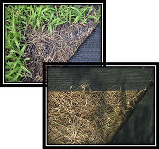 【防草シート】クサトラーズ（１ｍ×１０ｍ）グリーン