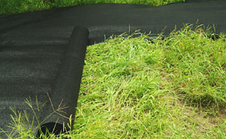 【防草シート】クサトラーズ（１ｍ×１０ｍ）グリーン