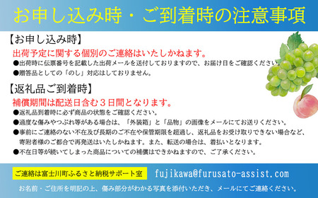 【2026年先行予約】【２回定期便】頬張る幸福感 ～緑の宝石・シャインマスカット～ 計２kg（1.0kg以上・2～3房を２回[9月上旬・下旬]お届け）　シャイン シャインマスカット ぶどう 葡萄 ブドウ 定期便 ２回 果物 くだもの フルーツ 山梨 やまなし 富士川町 シャインだけ シャインマスカットだけ