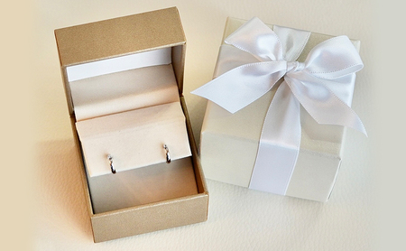 Pt900 プラチナ 地金 フープピアス(直径10mm) 保証書付 KO-0011 SWAD005