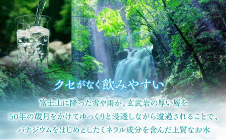 【6ヶ月定期便】富士山麓 四季の水/500ml×2箱・ミネラルウォーター SWAB014 水