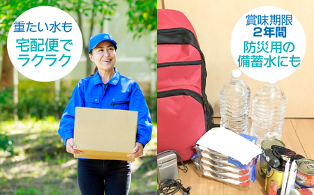 【6ヶ月定期便】富士山麓 四季の水/500ml×2箱・ミネラルウォーター SWAB014 水