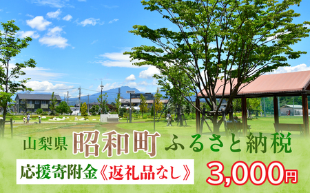 山梨県昭和町 応援寄附＜3,000円＞※返礼品なし SW001-2