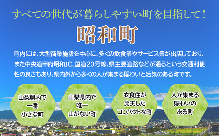 山梨県昭和町 応援寄附＜5,000円＞※返礼品なし SW001-3